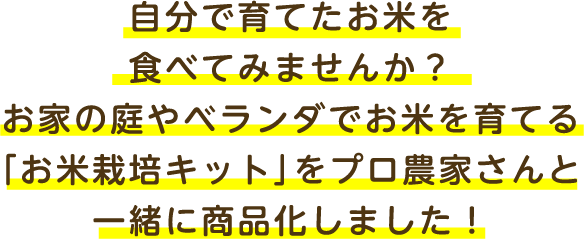 わが家の田んぼ ヘルススクラム